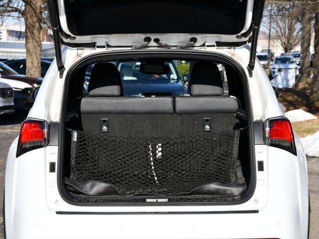 2021 Lexus NX 300 F Sport