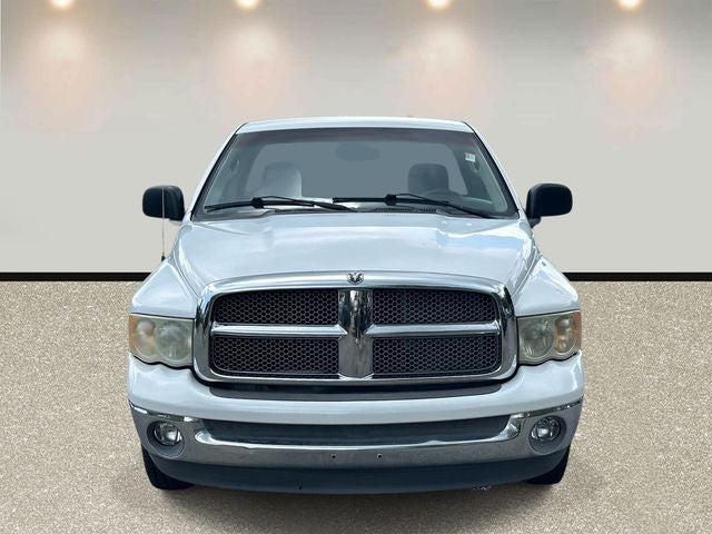 Used 2002 Dodge Ram 1500 Pickup ST with VIN 1D7HA16N72J250766 for sale in Murfreesboro, TN