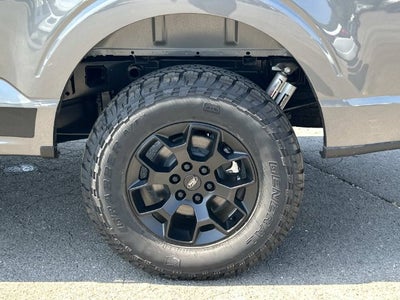 2026 Ford F-150 STX DARKTRAIL