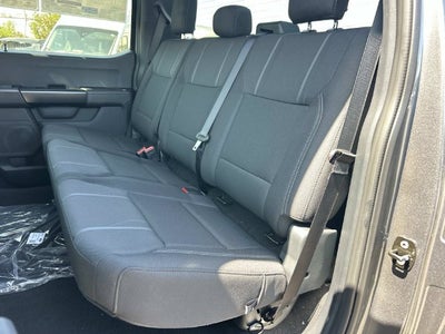 2026 Ford F-150 STX DARKTRAIL