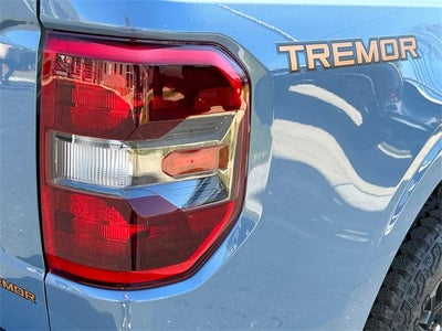 2025 Ford Maverick CUSTOM PAINT MATCH SERIES